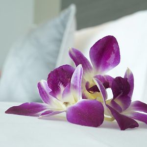 Kamar king executive superior